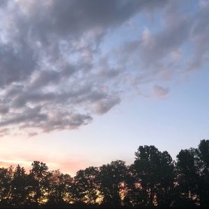 Meet your Posher, Ella